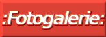 Fotogalerie