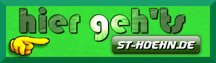 St-Hoehn.de